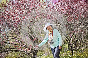 Portrait of happy senior beautiful woman in spring park