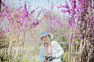 Portrait of happy senior beautiful woman in spring park