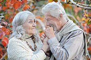 Portrait of happy senior couple in autumn park