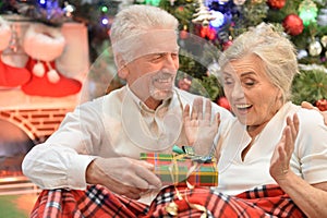 Portrait of happy senior couple celebrating Christmas