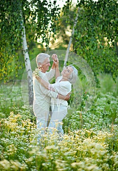 Portrait of a happy senior couple dancing