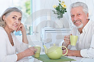 Portrait of happy Senior couple drinking tea