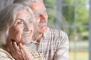 Portrait of happy senior couple at home