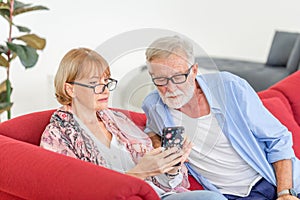 Portrait of happy senior couple in living room, Elderly woman and a man relaxing on cozy sofa at home, Happy family concepts