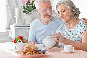 Portrait of happy Senior couple portrait drinking tea