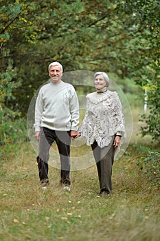 Portrait of happy senior couple posing in autumn forest