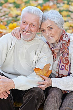 Portrait of happy senior couple posing in park