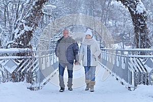 Portrait of a happy senior couple at winter outdoors