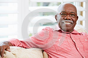 Portrait Of Happy Senior Man At Home