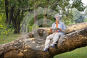 portrait happy senior man sitting on tree trunk in summer park