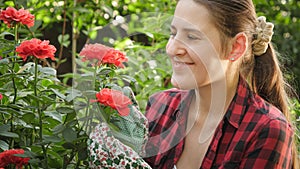 Portrait of happy smiling female gardener looking and smelling blooming red roses in garden. Gardening hobby and plant