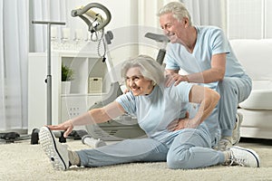 Portrait of happy sporty senior couple exercising