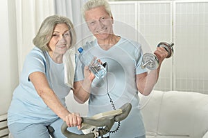 Portrait of happy sporty senior couple exercising