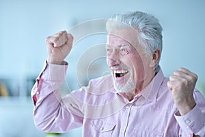 Portrait of happy successful senior man at home