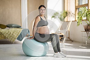 Portrait Of Happy Woman Expecting Baby Sitting On Big Fitball At Home