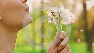 Portrait happy woman holding bouquet ripe dandelions in hands, smiling face enjoys nature. girl blows on dandelions