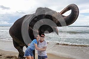 Portrait of a happy young couple with an elephant on the background of a tropical ocean beach. The girl kisses the guy