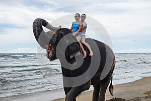 Portrait of a happy young couple on an elephant with trunk up on the background of a tropical ocean beach