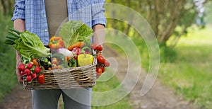 Portrait of a happy young farmer holding fresh vegetables in a basket. On a background of nature The concept of biological, bio pr