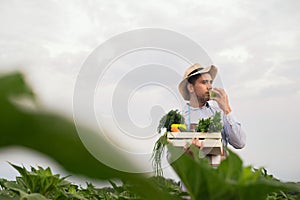 Portrait of a happy young farmer holding fresh vegetables in a basket. On a background of nature The concept of biological, bio