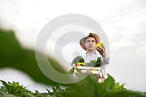 Portrait of a happy young farmer holding fresh vegetables in a basket. On a background of nature The concept of biological, bio