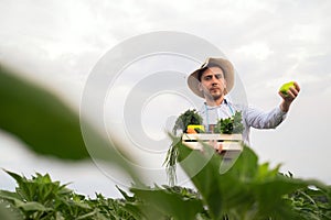 Portrait of a happy young farmer holding fresh vegetables in a basket. On a background of nature The concept of biological, bio