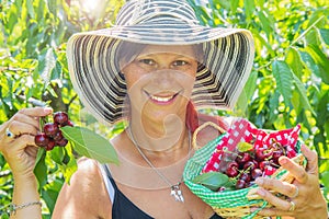 Portrait of happy young woman gardener picking sweet cherry from tree