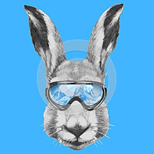 Portrait of Hare with ski goggles.