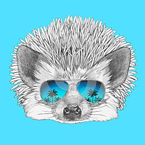Portrait of Hedgehog with mirror sunglasses. photo