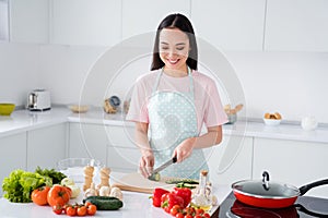 Portrait of her she nice attractive busy cheerful cheery focused girl cooking making tasty yummy dish salad vegan life