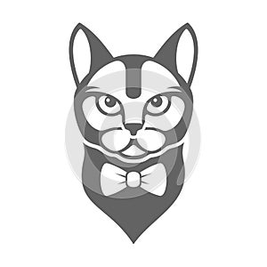 Portrait of Hipster Cat with Bow Tie on White Background. Vector
