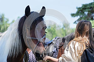 Portrait of a horse with a black-and-white mane, which is held by the bridle by a girl, turning away. Selective Focus