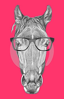 Portrait of Horse with glasses.