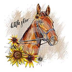 Portrait of a horse and sunflowers vector illustration isolated