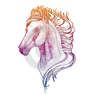 Portrait of horse. Vector animal head. Symbol of sport cometition, farm, exhibition.