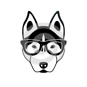 Portrait of husky dog with glasses, black and white flat style.