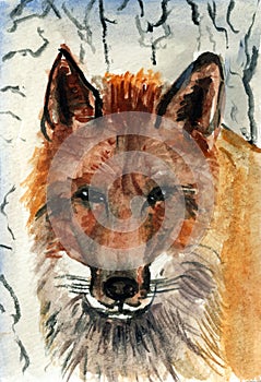 Portrait Illustration of a Red Fox