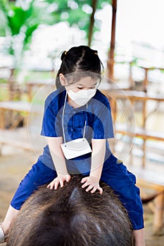 Portrait image child 5 year old. Cute Asian girl is riding on back of black buffalo. Children get close to farm animals.