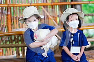 Portrait image children 5-6 year old. Little kindergarten student is sitting holding fluffy white chicken.