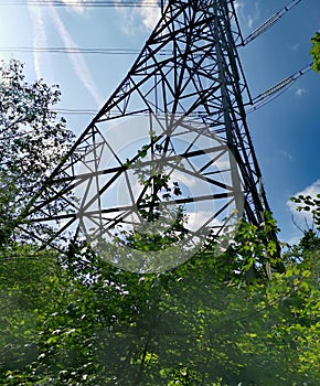 Portrait image showing pylon against blue sky above green bushes