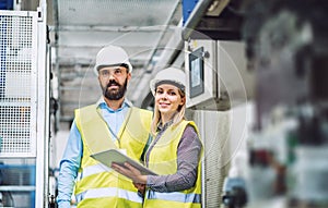 A portrait of an industrial man and woman engineer with tablet in a factory.