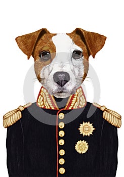 Portrait Jack Russell of in military uniform.