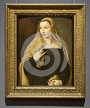 Portrait of Jacovacci Settima by Tizian