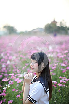 Portrait of Japanese school girl uniform with pink cosmos flower