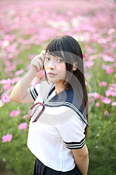 Portrait of Japanese school girl uniform with pink cosmos flower