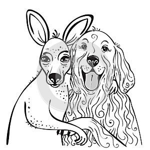 Portrait of a kangaroo and dog