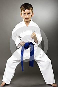 Portrait of a karate kid in kimono ready to fight