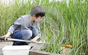 Portrait Kid boy catching creatures in pond with net in summer time,  Child explorer and learning about wild nature in countryside