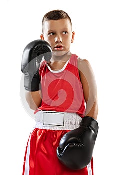 Portrait of kid, young boxer in boxing gloves and red unifprm posing isolated on white studio background. Concept of