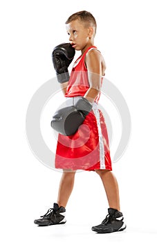 Portrait of kid, young boxer in boxing gloves and red unifprm posing isolated on white studio background. Concept of